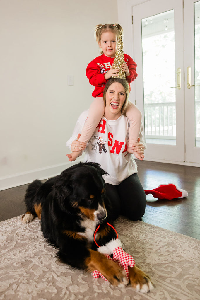 OH SNAP GINGERBREAD WHITE PULLOVER PULLOVER Judith March   